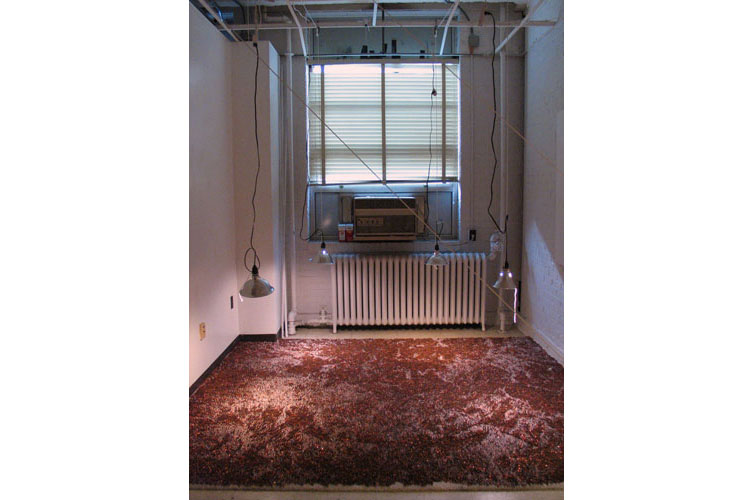 carpet of pennies