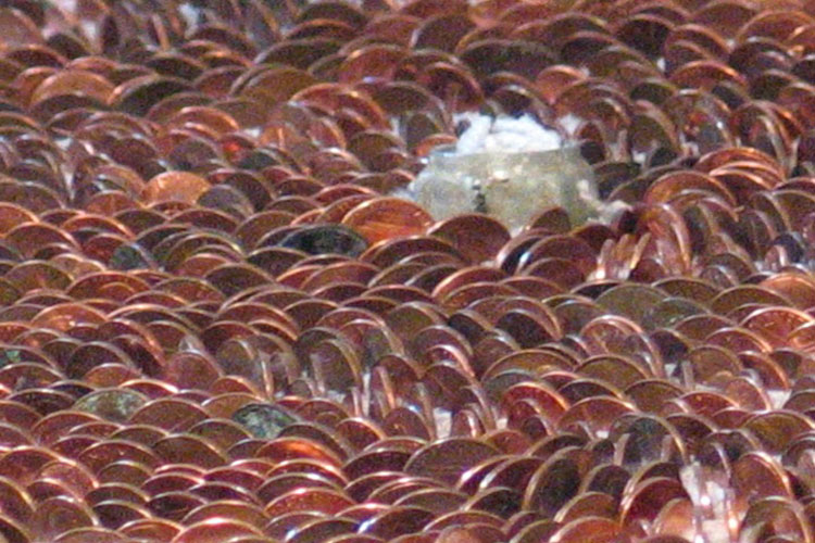 carpet of pennies