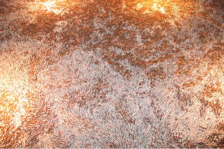 carpet of pennies