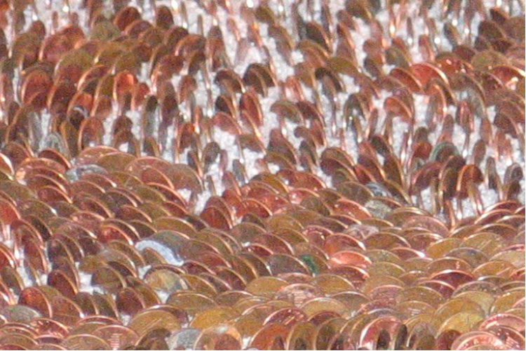 carpet of pennies